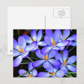 Bloemen Briefkaart (Voorkant / Achterkant)
