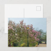 Bloemen Briefkaart (Voorkant / Achterkant)