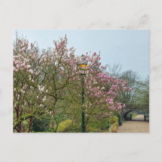 Bloemen Briefkaart (Voorkant)