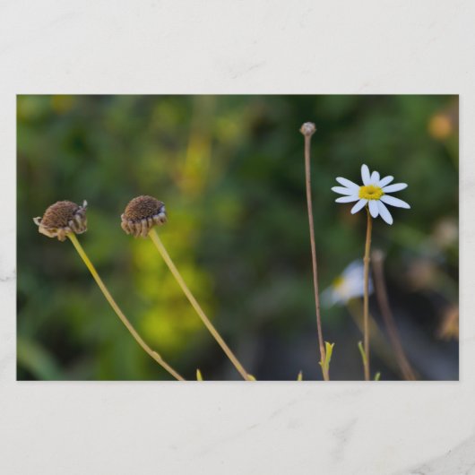 Bloemen Briefpapier (Voorkant)