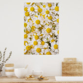 Bloemen | Bunch of Chamomiles Poster (Keuken)