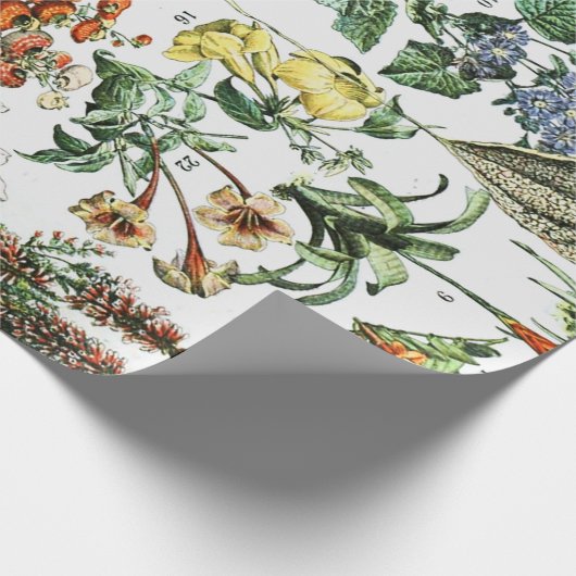  bloemen cadeaupapier (Hoek)