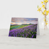 Bloemen | Californische wilde bloemen Kaart (Gele Bloem)