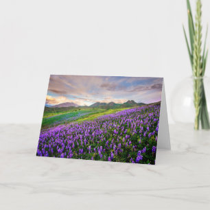 Bloemen Californische wilde bloemen Kaart