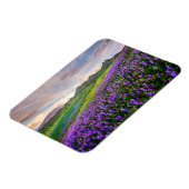 Bloemen | Californische wilde bloemen Magneet (Linkerzijde)