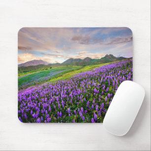 Bloemen   Californische wilde bloemen Muismat