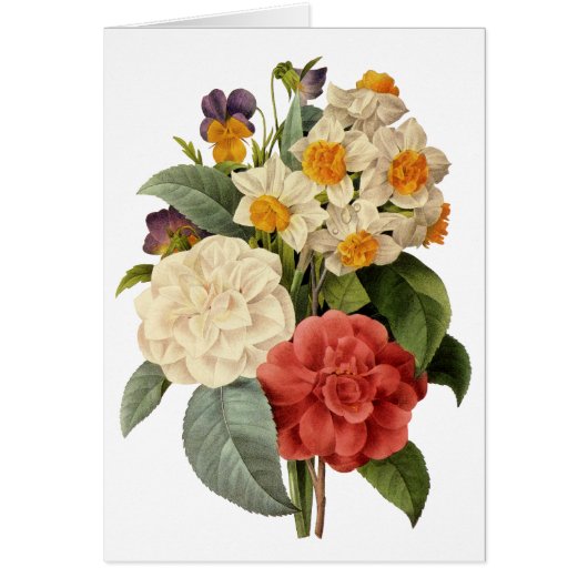 bloemen, Camellias en Narcissus, Redoute (Voorkant)