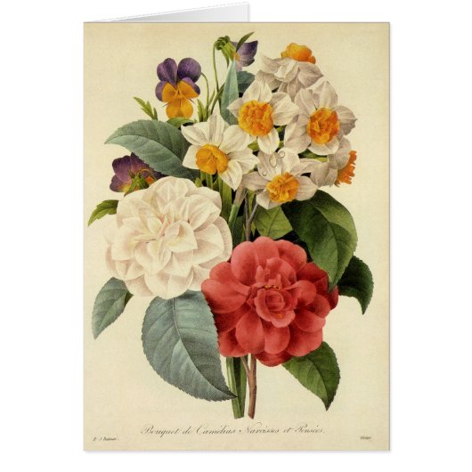 bloemen, Camellias en Narcissus, Redoute (Voorkant)