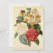  bloemen, Camellias en Narcissus, Redoute (Voorkant)