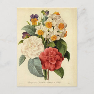  bloemen, Camellias en Narcissus, Redoute Aankondigingskaart