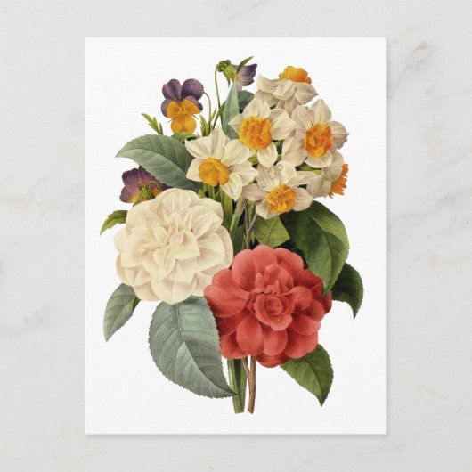 bloemen, Camellias en Narcissus, Redoute Briefkaart (Voorkant)