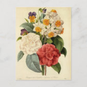  bloemen, Camellias en Narcissus, Redoute Briefkaart (Voorkant)