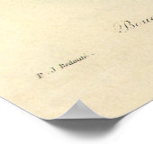  bloemen, Camellias en Narcissus, Redoute Poster (Hoek)