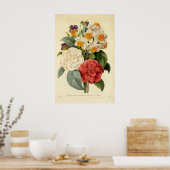  bloemen, Camellias en Narcissus, Redoute Poster (Keuken)
