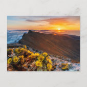 Bloemen | Canarische Eilanden, Spanje Briefkaart (Voorkant)