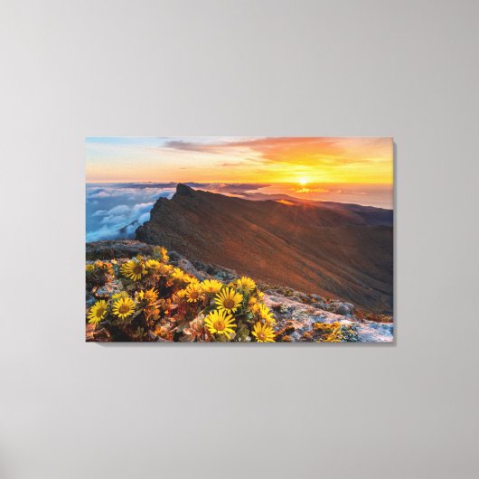 Bloemen | Canarische Eilanden, Spanje Canvas Afdruk (Voorkant)