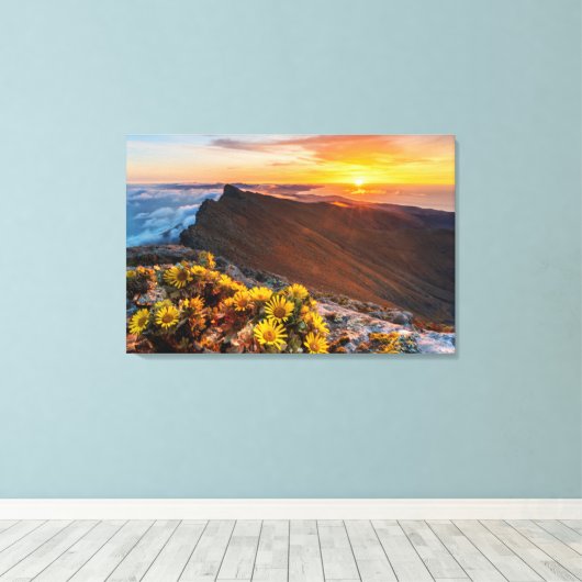 Bloemen | Canarische Eilanden, Spanje Canvas Afdruk (Insitu (Houten vloer))