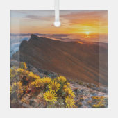 Bloemen | Canarische Eilanden, Spanje Glas Ornament (Voorkant)