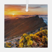 Bloemen | Canarische Eilanden, Spanje Glas Ornament (Achterkant)