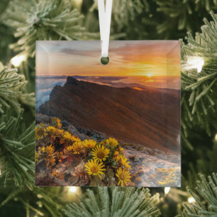 Bloemen   Canarische Eilanden, Spanje Glas Ornament