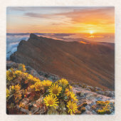 Bloemen | Canarische Eilanden, Spanje Glazen Onderzetter (Voorkant)