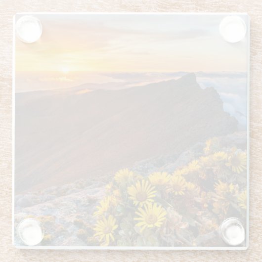 Bloemen | Canarische Eilanden, Spanje Glazen Onderzetter (Achterkant)