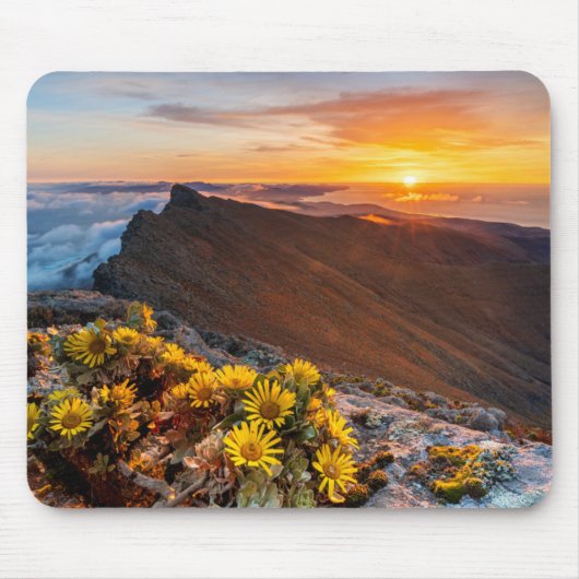 Bloemen | Canarische Eilanden, Spanje Muismat (Voorkant)