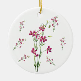 bloemen - Centaurium van Mary Vaux Walcott Keramisch Ornament