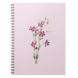 bloemen - Centaurium van Mary Vaux Walcott Notitieboek