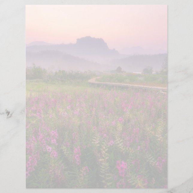 Bloemen | Chiang Dao, Chiang Mai, Thailand (Voorkant)