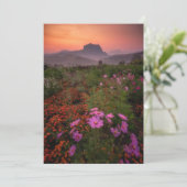 Bloemen | Chiang Dao, Chiang Mai, Thailand Bedankkaart (Staand voorkant)