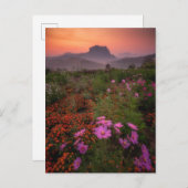 Bloemen | Chiang Dao, Chiang Mai, Thailand Briefkaart (Voorkant / Achterkant)