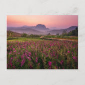 Bloemen | Chiang Dao, Chiang Mai, Thailand Briefkaart (Voorkant)