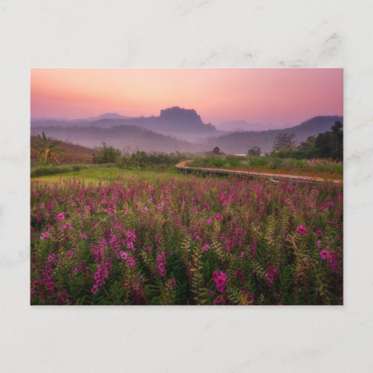 Bloemen | Chiang Dao, Chiang Mai, Thailand Briefkaart (Voorkant)