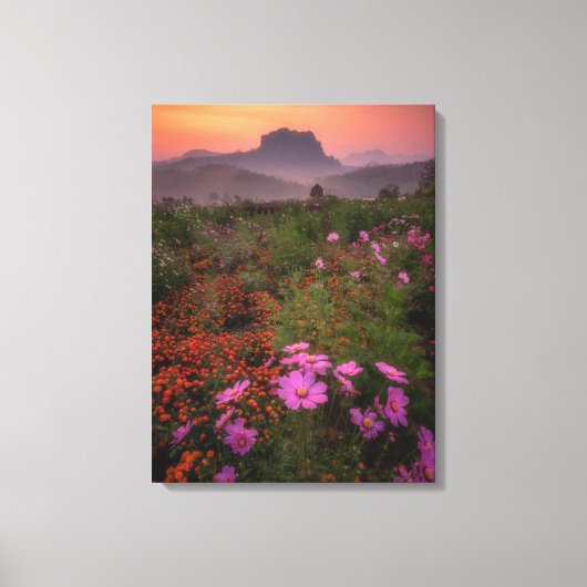 Bloemen | Chiang Dao, Chiang Mai, Thailand Canvas Afdruk (Voorkant)