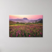 Bloemen | Chiang Dao, Chiang Mai, Thailand Canvas Afdruk (Voorkant)