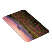 Bloemen | Chiang Dao, Chiang Mai, Thailand Magneet (Rechterzijde)