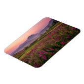 Bloemen | Chiang Dao, Chiang Mai, Thailand Magneet (Linkerzijde)