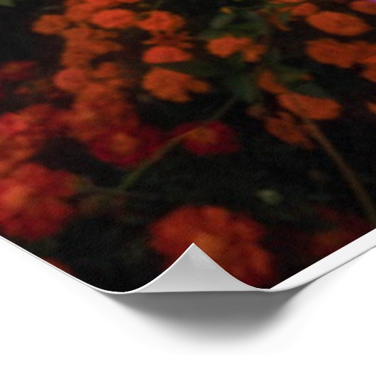 Bloemen | Chiang Dao, Chiang Mai, Thailand Poster (Hoek)