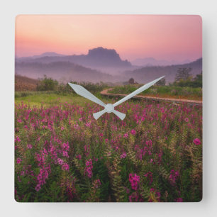 Bloemen   Chiang Dao, Chiang Mai, Thailand Vierkante Klok