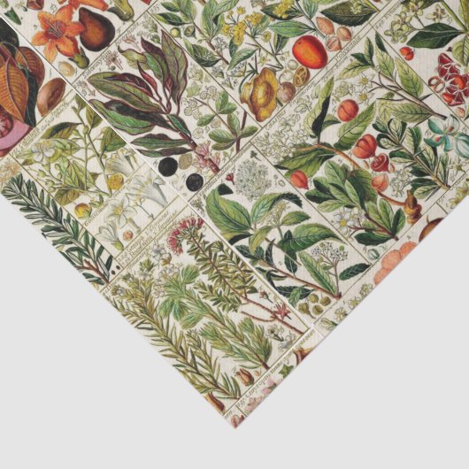  Bloemen Collectie #15 Tissuepapier (Detail)