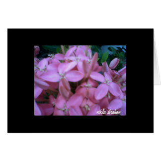 *BLOEMEN COLLECTIE* notitiekaart