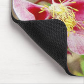  bloemen Columbine Muismat (Hoek)