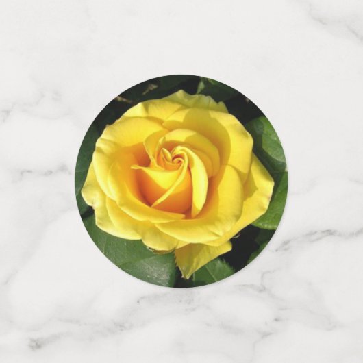 Bloemen Confetti (Kleine voorkant)