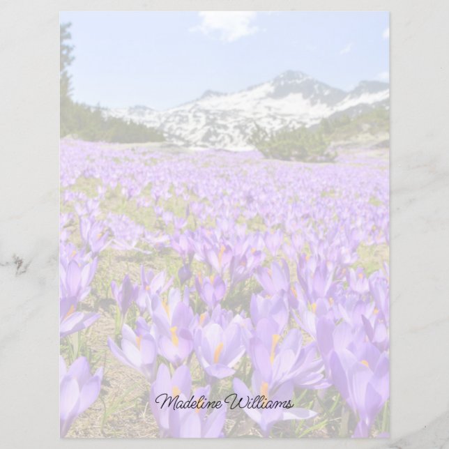Bloemen | Crocus Pirin Mountain Park Bulgarije (Voorkant)