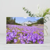 Bloemen | Crocus Pirin Mountain Park Bulgarije Bedankkaart (Staand voorkant)