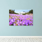 Bloemen | Crocus Pirin Mountain Park Bulgarije Canvas Afdruk (Insitu (Houten vloer))