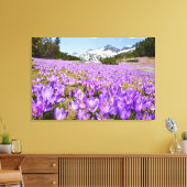 Bloemen | Crocus Pirin Mountain Park Bulgarije Canvas Afdruk (Insitu (Woonkamer))