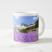 Bloemen | Crocus Pirin Mountain Park Bulgarije Grote Koffiekop (Voorkant rechts)