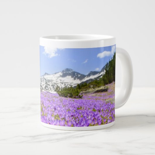 Bloemen | Crocus Pirin Mountain Park Bulgarije Grote Koffiekop (Voorkant rechts)